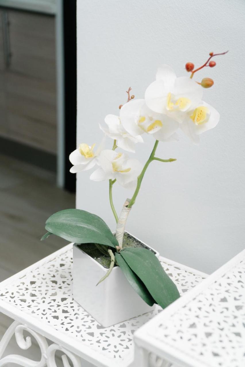 Apartamentos Ganesha Jacó Εξωτερικό φωτογραφία